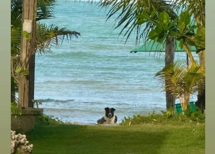Hotel que aceita animais de estimação: Parador Algaroba
